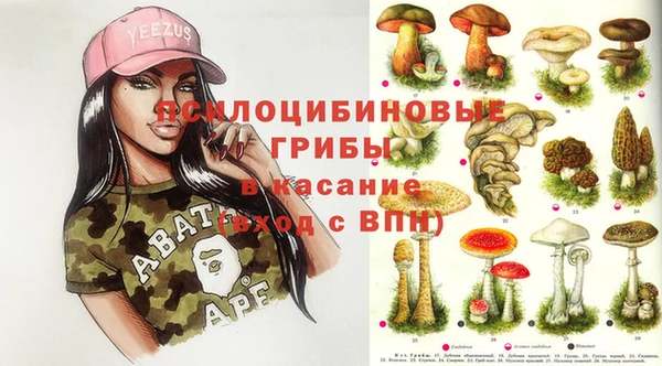 гашик Зерноград