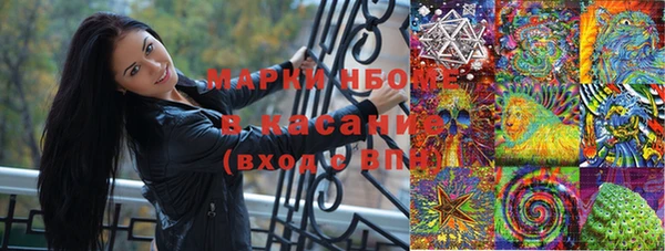 гашик Зерноград