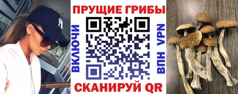 Галлюциногенные грибы прущие грибы  Купить где  Глазов 
